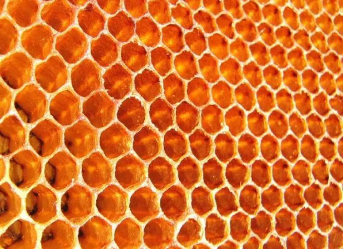 image of fresh honeycomb