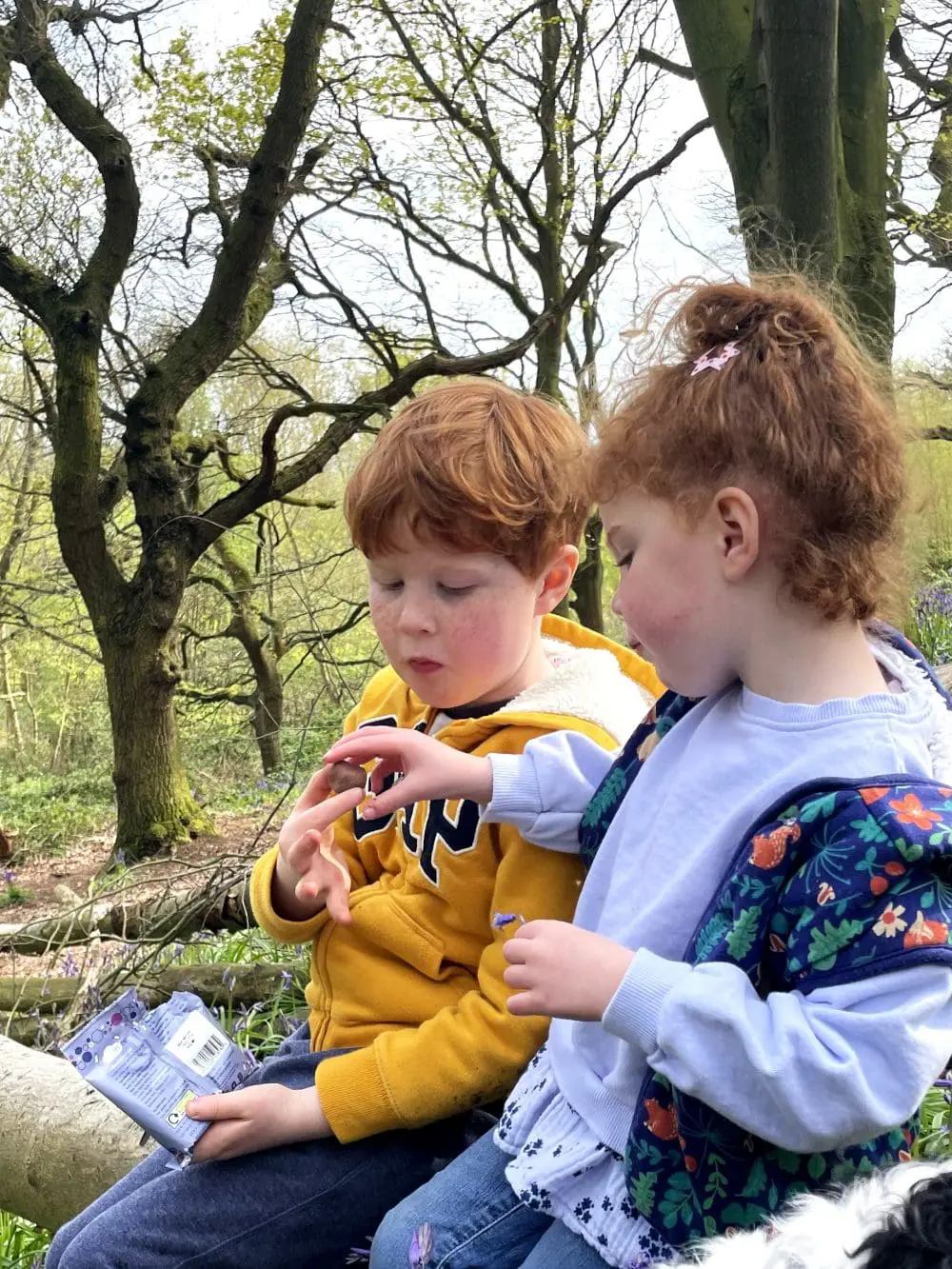 Sharing a snack pack of Yummycomb, Honeycomb covered in Belgian chocolate in the outdoors