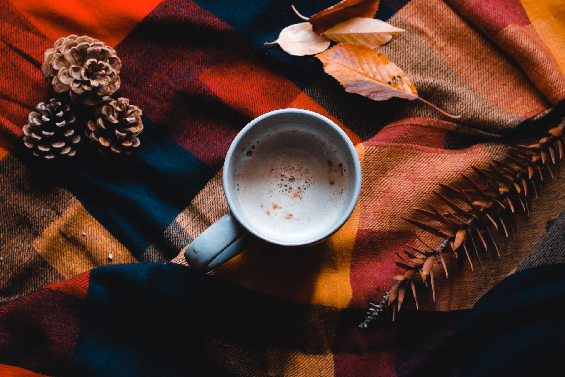 a cup of hot chocolate